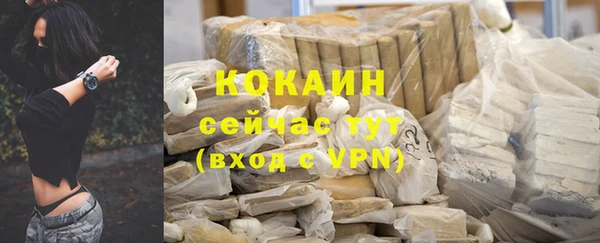 эйфоретик Баксан