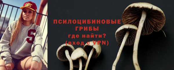 гашик Балахна