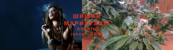эйфоретик Баксан