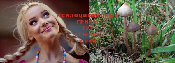 эйфоретик Баксан